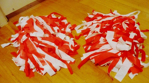 cheer poms 170405