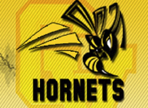 Camas Valley graphic