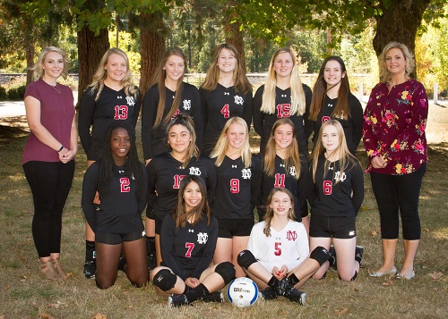 181101 North Douglas volleyball team